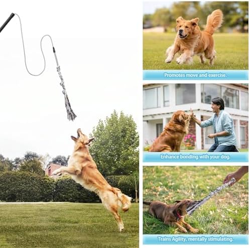 Flirt Pole for Small Medium Dogs,Interactive Chase and Tug of War Outdoor Dog Toys,Heavy Duty Dog Teaser Wand Chase Toys with Rope,Durable Flirt Stick Pole for Dogs Outside Agility Exercise & Training - Image 3