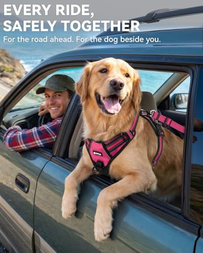 Joytale 3-in-1 Bungee Dog Seat Belt for Car, Medium and Large Dogs, Hotpink - Image 4