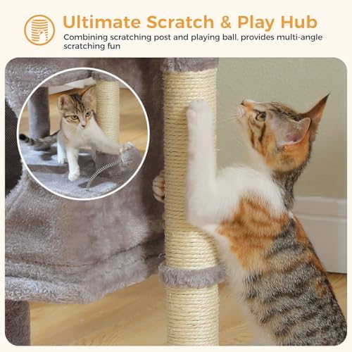 PAWZ Road 26" Cat Tree for Indoor Cats, Small Tower with 19X13”Bed - Image 4