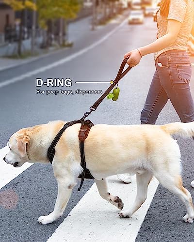 Joytale Short Dog Leash for Close Control & Training, 24", Black - Image 6