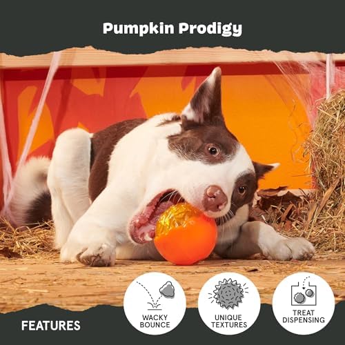 Barkbox Pumpkin Prodigy Dog Toy | Treat-Dispensing Rubber Dog Toy for Aggressive Chewers | Durable Dog Chew Toy for Medium Dogs & Puppy Essentials - Image 3