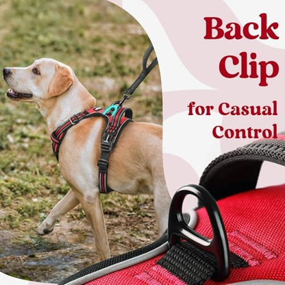 rabbitgoo Dog Harness Small Sized, Updated Easy On & Off with 3 Buckles - Image 6