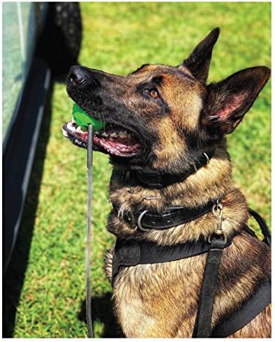 K9 Ops Dog Ball on a Rope Moki Tug Toy - Solid Rubber Fetch Training Reward - Large Dogs Tugs Durable Aggressive Chewers (Envy Green, MD/LG) - Image 6