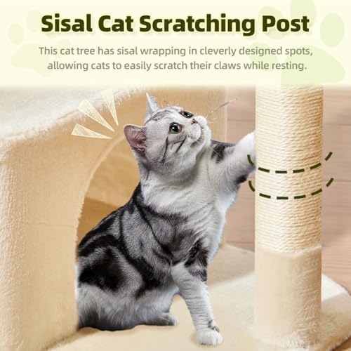 Taoqimiao 32.2in Cat Tree with Toy, Small Cat Tower for Indoor Cats, MS043M - Image 3