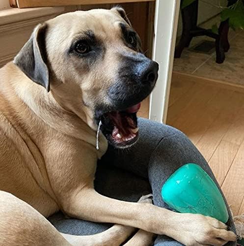 Chew King by Mammoth Premium Treat Dispensing Dog Toy, Durable Natural Rubber Chew Toy, Safety Air Vent, Interactive Enrichment Toy for Aggressive Chewers, Medium Pack of 2- Teal