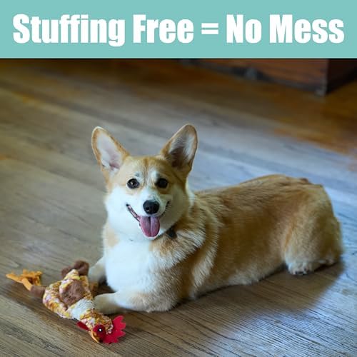 SPOT Skinneeez Chicken 13 Inch Stuffing-Free Plush Squeaky Dog Toy – Soft Interactive Chew Toy for Small and Medium Dogs – Mess-Free Play for Light & Moderate Chewers - Image 4