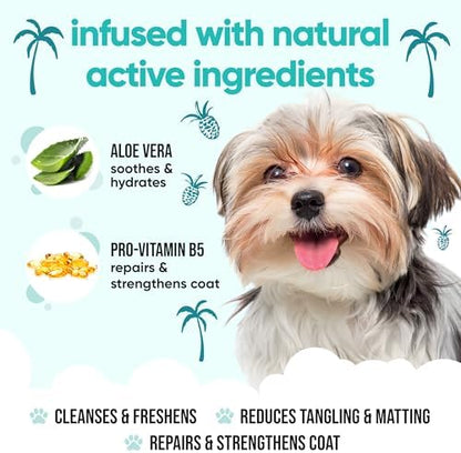Tropical Dog Shampoo by Buddycare | Deep Cleansing Shampoo for Dogs | Tropical Scented | with Aloe Vera and Pro Vitamin B5 (33.8oz) - Image 3