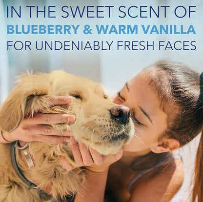 TropiClean SPA Tear Stain Remover for Dogs, Blueberry Facial Shampoo, 8oz - Image 5