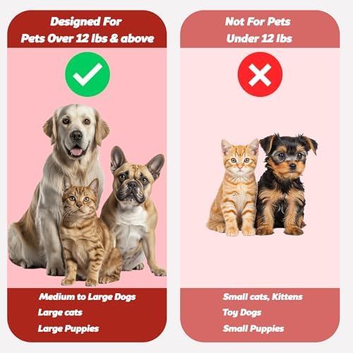 Pet Toothbrush for Dogs, Cats with Soft Bristles - Easy Teeth Cleaning & Dental Care, Non Slip Dual Head Dog Toothbrush for Medium & Large Pets, Toothpaste Not Included, Pack of 4 Red - Image 6