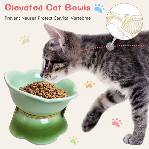 Kathson 4 Pcs Ceramic Raised Cat Food Bowls Elevated Kitty Bowl for Food and Water Anti Vomiting Tilted Cat Bowl for Kittens and Small Dogs Dishwasher and Microwave Safe (8.45 Ounces) - Image 3