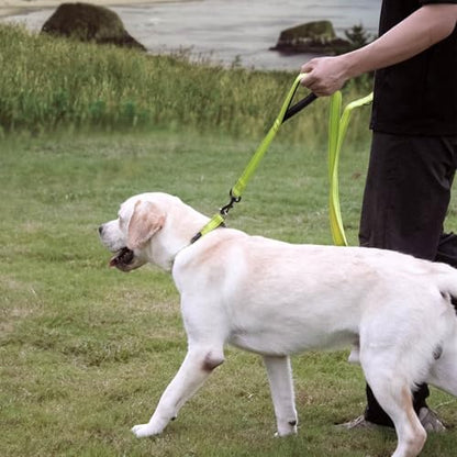 Wagtime Club Heavy Duty Double Handle Dog Leash for Large Medium Small Dogs - Image 7