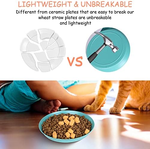 Cat Bowls 6 inch Whisker Fatigue Free Cat Food Bowl, Wheat Straw Cats Dishes, Pet Feeding Plate for Kittens and Short Legged Cats (8 Pcs) - Image 3