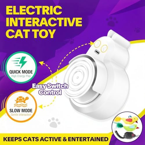 Automatic Interactive Cat Toys, Door Flying Feather Bird & Mouse for Kitten - Image 4