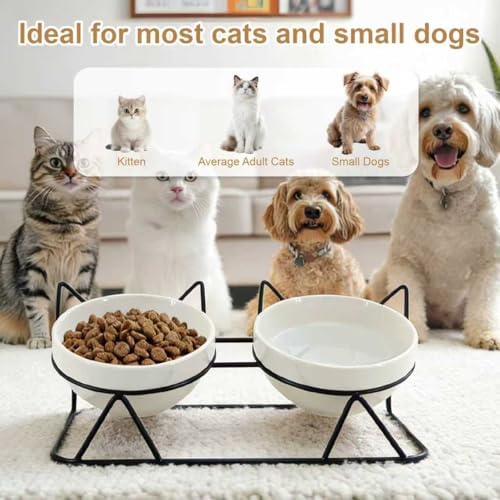 Elevated Tilted Cat Bowls for Indoor Cats，Raised Ceramic Cat Bowl Elevated 15°,Pet Feeding Bowls for Food and Water Anti Vomiting Bowl(Double Ceramics and Tilt Shelf) Suitable - Image 2