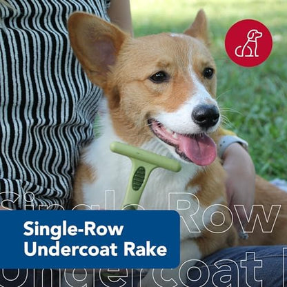 Coastal Pet Safari Double Row Undercoat Rake - Gentle Dematting and Deshedding Grooming Comb for Dogs - Image 2