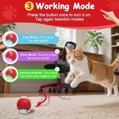 Interactive Cat Toys Smart Ball for Cats & Dogs! Now with 2 Rapid Tails. Features: 360°Auto-Rolling, Motion Activation& Bird Sounds. Perfect for Indoor Pet Exercise & Fun. (Blue) - Image 3