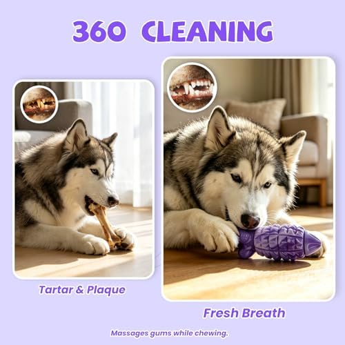 YINEYA Dog Toys for Aggressive Chewers, Tough Dog Chew Toys, Purple - Image 3