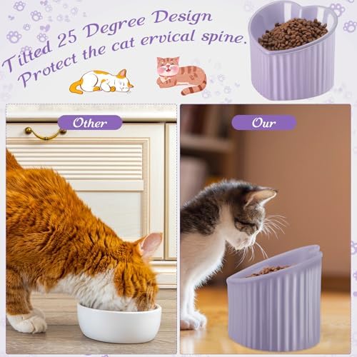 Mumufy 2 Pcs Ceramic Elevated Cat Bowls Tilted Elevated Raised Pet Bowls Anti Vomit Cat Dish for Indoor Stress Free Water Dish Feeder for Puppies, Heart Shaped (Purple) - Image 3