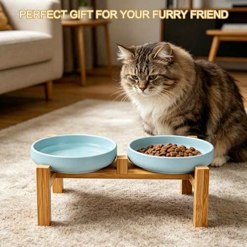 Shallow Elevated Cat Bowls with Bamboo Stand, 6.1 Inch Wide Ceramic Cat Dish Whisker Friendly, 2 Pack Pet Food and Water Plates - Image 6