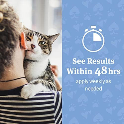 PetArmor Ear Rinse for Dogs & Cats, 4 oz (Pack of 2) - Image 4