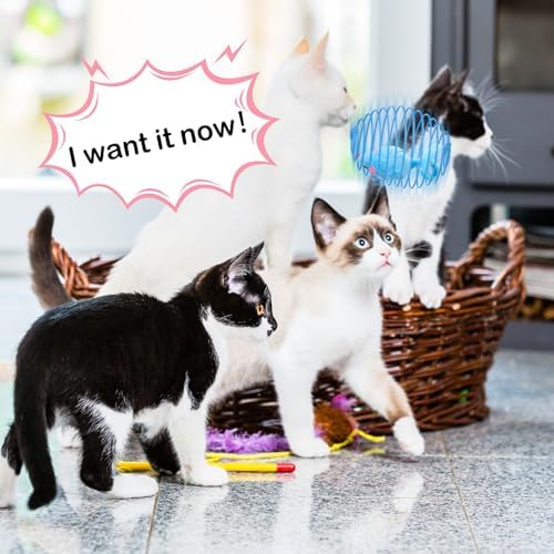 Jecery 25 Pcs Cat Toys Spring,Mouse and Bell,Colorful - Image 4