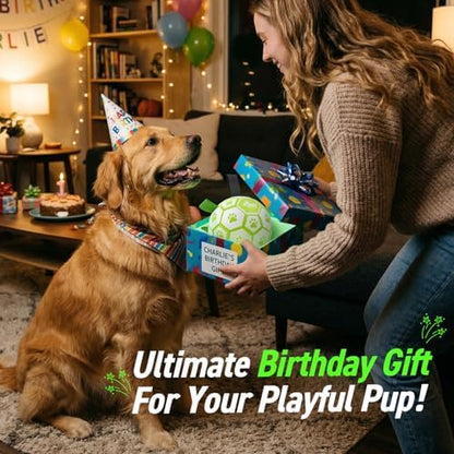QDAN Glow in The Dark Dog Toys, Dog Soccer Ball with Straps, Night Play Fun - Image 5