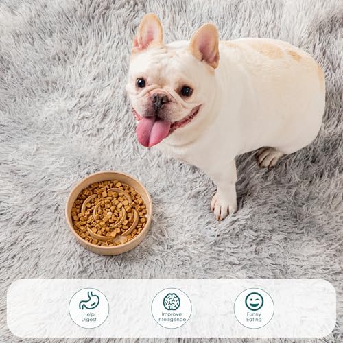 vancasso Ceramic Slow Feeder Dog Bowls, 0.6 Cup Puzzle Dish for Small Breed - Image 5