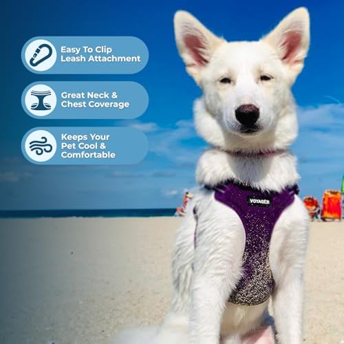 Best Pet Supplies Voyager Adjustable Step-in Flex Breathable Mesh Dog Harness for Small Medium Large Dogs Leash Set (Purple), XS - Image 5