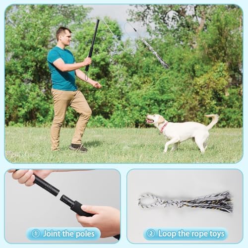 Flirt Pole for Small Medium Dogs,Interactive Chase and Tug of War Outdoor Dog Toys,Heavy Duty Dog Teaser Wand Chase Toys with Rope,Durable Flirt Stick Pole for Dogs Outside Agility Exercise & Training - Image 5