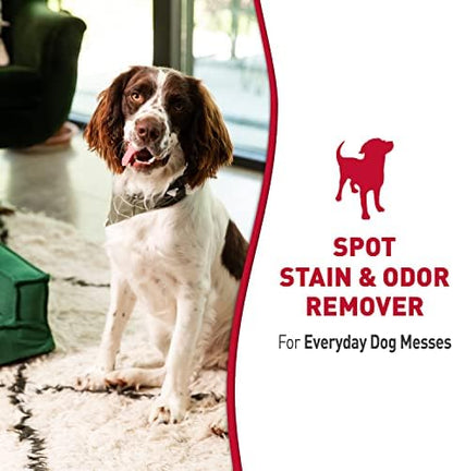 Nature’s Miracle Dog Stain & Odor Remover, Enzymatic Cleaner, 170 oz Refill - Image 3