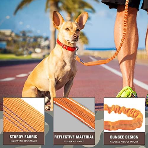 AUROTH Bungee Dog Leash for Large Dogs, No Pull for Shock Absorption - Image 2