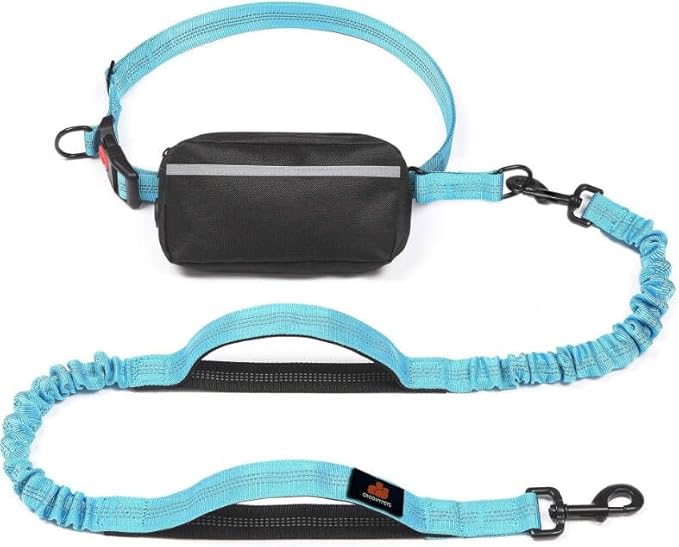 Hands Free Dog Leash with Waist Zipper Pouch, Dual Padded Handles and Dual Bungee Shockabsorbing Leash with Safety Reflective Strip for Walking, Jogging and Running Your Dog