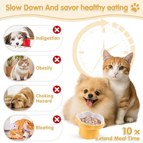 Cat Slow Feeder Bowl Set,1 Pcs Pastel Series Cat Plate for Dry and Wet Food - Image 4
