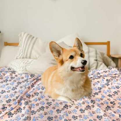 Dog Blankets for Medium Large Dogs Washable, 3 Pack Pet Blanket Washable 41" x 31", Fuzzy Soft Puppy Blanket Throw Cover for Kennel Crate Bed, Blanket for Dogs, Pet Blankets for Dog - Image 6