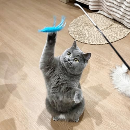 IUHKBH Shrimp Cat Toy Attachments, 3 PCS Simulation Insects Shrimp Refills Cat Toys Replacement for Indoor Cat Kitten Enrichment & Hunting - Image 6