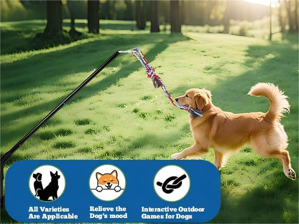 Outdoor Tug of War Dog Toy,Interactive Dog Toys with 2 Rope in Yard Park for Large Medium Small Dogs
