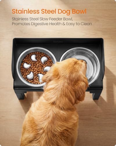 Feandrea Dog Bowls Elevated, Adjustable Height, Tilted Design - Image 3