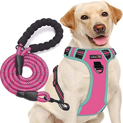 tobeDRI No Pull Dog Harness Adjustable Reflective Oxford Easy Control Medium Large Dog Harness with A Free Heavy Duty 5ft Dog Leash, Pink/Blue, XL by tobeDRI
