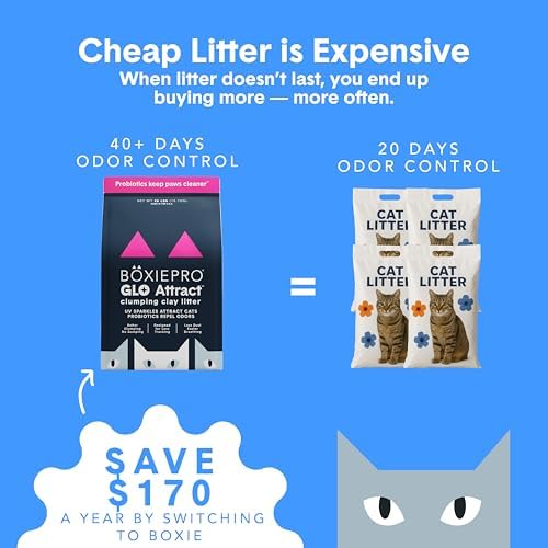 Boxie Glo Attract Clumping Cat Litter 40+ Day Odor Control Dust Free 40 lb - Image 3