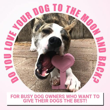 Bullibone Nylon Dog Chew Toy for Aggressive Chewers - Dental Hygiene Bone with Peppermint Flavor, Durable Tough Chew Toys for Large Dogs, Indestructible Dog Bone - 2 Pack - Image 5