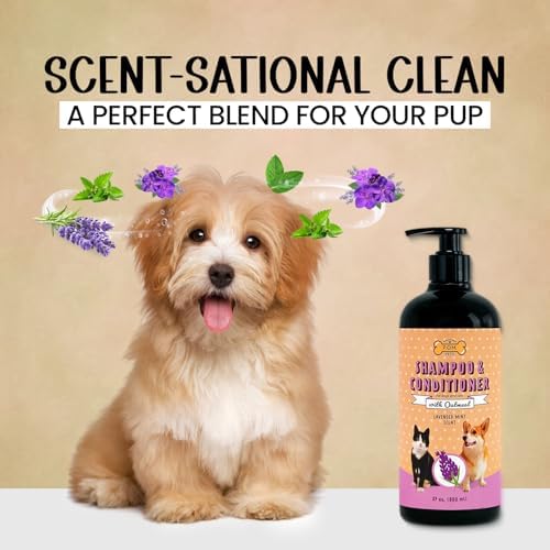 POM Pets 2-in-1 Organic Dog Shampoo & Conditioner – Itchy Skin Relief, Dog Deshedding, Detangles Fur, Cat Shampoo, Paw Cleaner for Dogs, Natural Coat Defense Formula - Image 4
