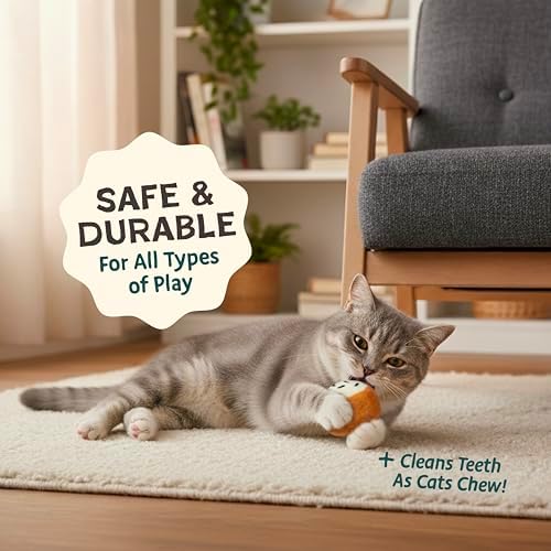 Woolbuddy Wool Cat Toys (Big Sushi 4 PCS) for Indoor Cat Kitten Catnip-Free - Image 7