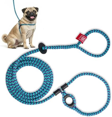 Harness Lead No Pull Dog Harness and Leash Set, Anti Pull Dog Harness, One-Piece Cushioned Rope Safely Prevents Escaping and Pulling (Small/Medium, Purple/Turquoise) by HarnessLead