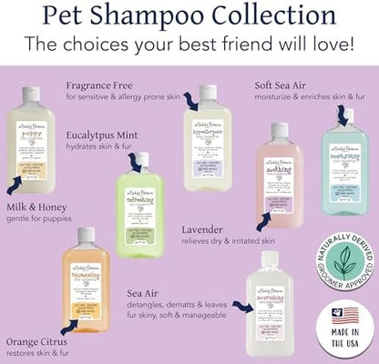 Bobbi Panter Soothing Dog Shampoo Tea Tree, Lavender, Cucumber & Oat Protein – Natural Formula for Sensitive Skin & Irritation Relief, Tear-Free, 30:1 Concentrate, Made in USA, 14 oz - Image 2