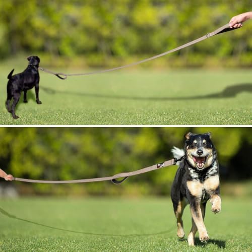 Plutus Pet Double Handle Dog Leash, 5 FT Long, for Medium Large Dogs - Image 7