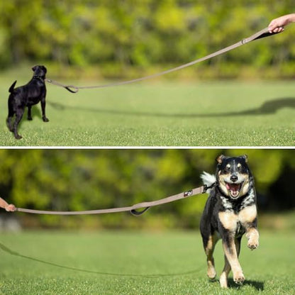 Plutus Pet Double Handle Dog Leash, 5 FT Long, for Medium Large Dogs - Image 7