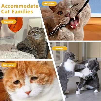 3 Pack Catnip Toys,Soft and Durable Cat Pillows Toys, Funny cat Toy - Image 5