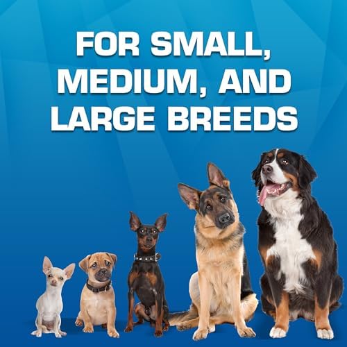 Nerf Dog Toy Gift Set, 3-Piece Set of Outdoor Dog Toys for Fetch, Includes Checker Crunch Ball, Spike LED Squeak Ball and Tire Squeak Football - Image 6