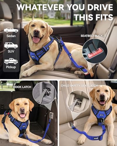 Joytale 3-in-1 Bungee Dog Seat Belt for Car, Medium Large Dogs, Navy Blue - Image 2