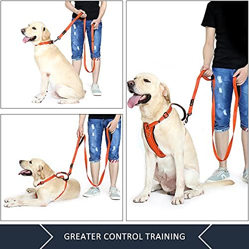 Plutus Pet Double Handle Dog Leash, 4 FT Long, for Medium Large Dogs - Image 3